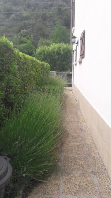 Jolie Maison Avec Jardin Villa Villefranche-de-Conflent Bagian luar foto